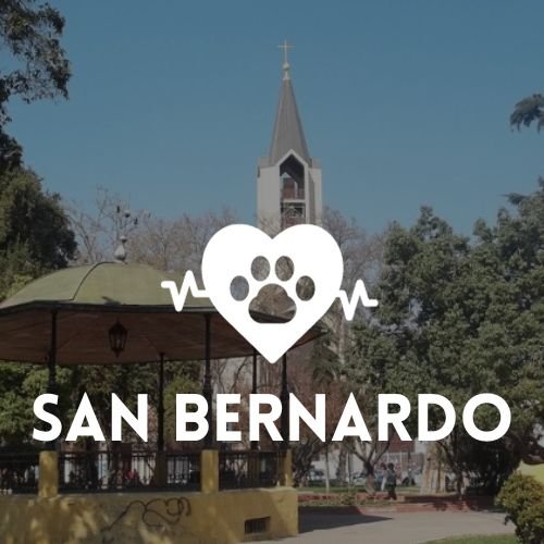 veterinaria San Bernardo