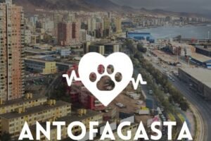 Veterinarias en Antofagasta