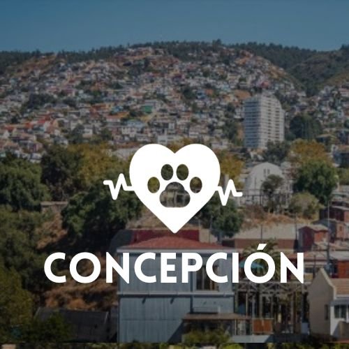 veterinaria Concepción