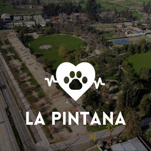 veterinaria La Pintana
