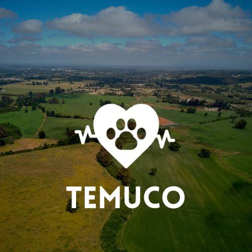 veterinaria Temuco
