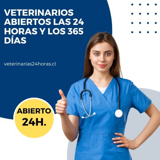 veterinaria 24 horas