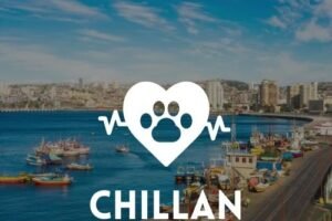 Veterinarias en Chillán