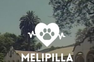 Veterinarias en Melipilla