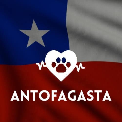 veterinaria en Antofagasta