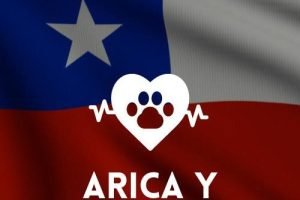 Veterinaria 24 horas en la Región de Arica y Parinacota