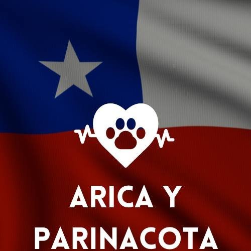 veterinaria en Arica y Parinacota