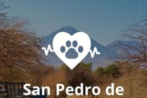 Veterinarias 24 horas en San Pedro de Atacama