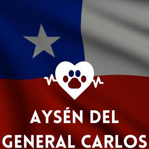 veterinaria en Aysén del General Carlos Ibáñez del Campo