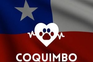 Veterinaria 24 horas en la Región de Coquimbo