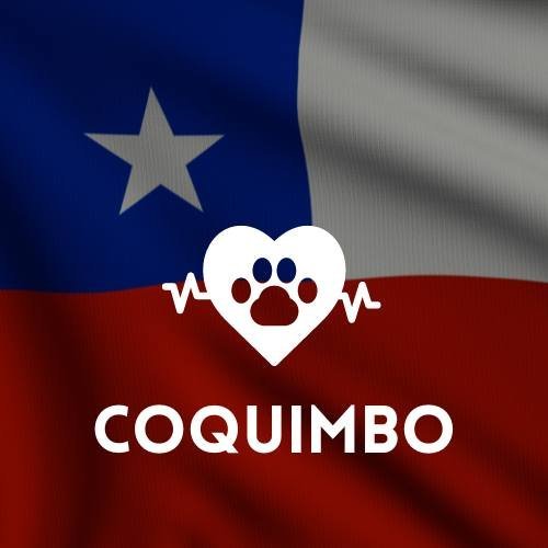 veterinaria en Coquimbo