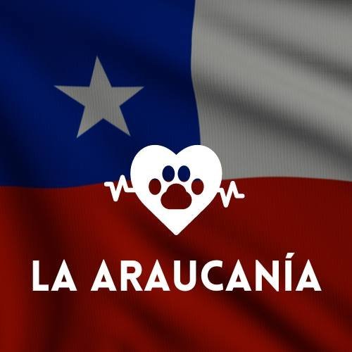 veterinaria en La Araucanía