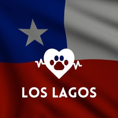 veterinaria en Los Lagos