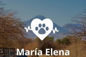Veterinaria 24 horas en María Elena