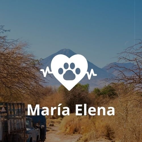 veterinaria en Maria Elena