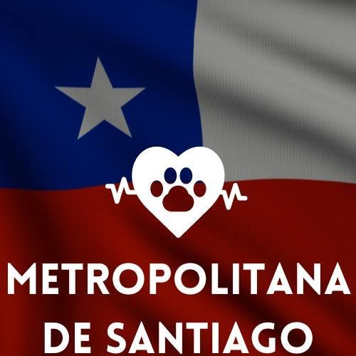 Veterinarias 24h en Santiago