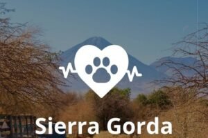 Veterinaria 24 horas en Sierra Gorda