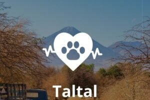 Veterinaria 24 horas en Taltal