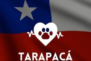 Veterinaria 24 horas en la Región de Tarapacá