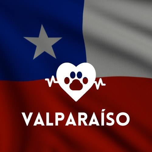 veterinaria en Valparaíso