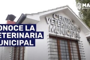 Las veterinarias Municipales en Chile