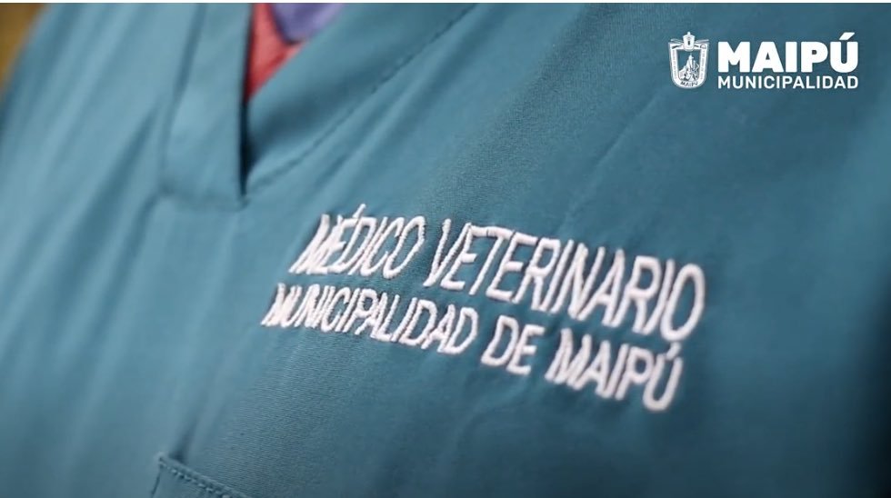 Servicios veterinarias municipales en Chile