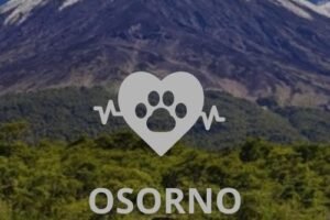 Veterinaria en Osorno