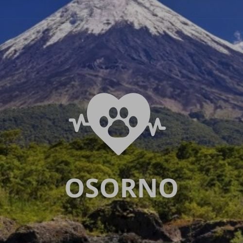 Veterinaria en Osorno